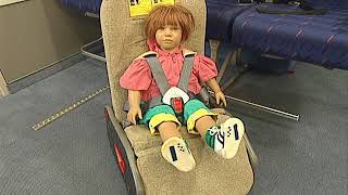 Innovint SkyKids Child Restraint System