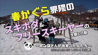 春のかぐらに集うフリースキーヤー＆スキーボーダーたちの行動と生態【ファンスキー・スキーボード】