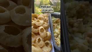 Pani puri پانی پوری ‌/Gol Gappa