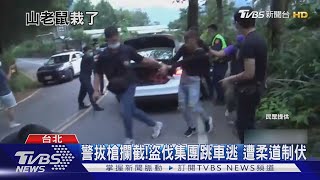 奧萬大封山怎有人? 山老鼠盜伐20警圍捕｜TVBS新聞