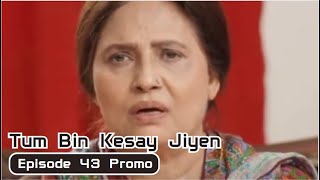 Tum Bin Kesay Jiyen Episode 43 Review&Teaser | Tum Bin Kesay Jiyen Episode 43 Promo
