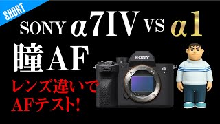 AFテスト SONY α7IV VS α1フィギアきれいなジャイアンで瞳AF TAMRON 28-200 FE70-200 GM2等レンズの違いもAFにでる！