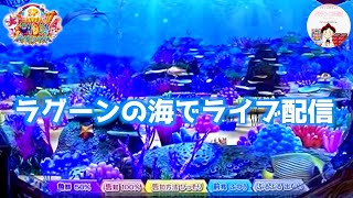 【大海４ ライブ配信】魚群 50%・告知 100%・告知方法 ひっそり・前兆 ふつう・ぶるぶる 出ない🫧ラグーンの海でライブ配信⛱️　＃おじパチ日記　＃パチンコ実機　＃大海物語４　＃海物語　＃大海４