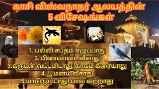 😲காசியில் நான் பார்த்து வியந்த 5 விஷேசம்😲 kaasi vlog in Tamil👼 #vlogvideo #information #trending