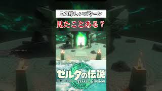 【Twitterでバズった】絶対みんな引っかかるやろこれ【ゼルダの伝説 ティアーズオブザキングダム】#shorts