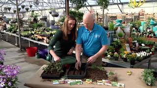 Your Montana Garden: Planting