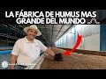 Humus de Lombriz en Cantidades Masivas: Tour por la Fábrica MÁS GRANDE DEL MUNDO 🪱🪴🌱