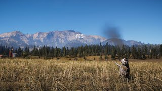 Far Cry 5 Main Menu Theme (1 Hour)