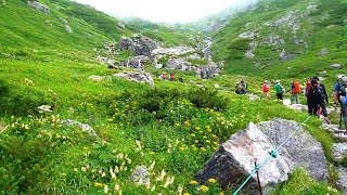 白馬大雪渓とお花畑～白馬岳・栂池縦走でご来光・雷鳥の親子も