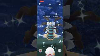 How many raids did shiny Giratina take? #pokemongo #pokemon #shiny