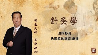 石学敏团队讲针灸学 - 71 治疗各论   头面躯体痛证 痹症