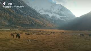 Scenic Spot of Daocheng Yading