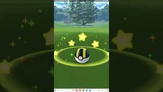 2023年8月XYZ Pokémon Go community day✨️shiny cute色違寶可夢精靈呱呱泡蛙《8月社群日》🐸 ケロマツ Froakie gotcha 🥳😃✌️😎👏