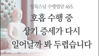 호흡 수행 중 상기 증세가 다시 일어날까 봐 두렵습니다ㅣ일묵스님ㅣ제따와나선원 수행법담 465.