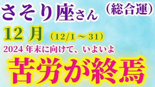 【蠍座】 2024年12月1日から31日までのさそり座の運勢。星とタロットで読み解く未来 #蠍座 #さそり座