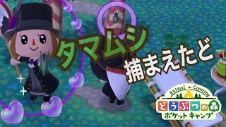 【ポケ森】タマムシ