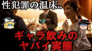 【ゆっくり解説】 ギャラ飲みのヤバい実態をゆっくり解説