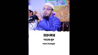 অহংকার পতনের মূল | শায়েখ আহমাদুল্লাহ | shaikh Ahmadullah🍁