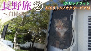 【長野県②】白樺湖｜道の駅雷電くるみの里｜RVビックフット ACSリトルノオクタービアM