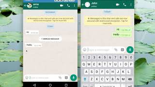How to Read WhatsApp Messages without Blue Tick Marks