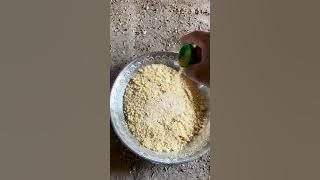 Parrot breeding soft food |How to make egg soft food full detail video