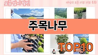 가장 많이 팔린 주목나무 추천 Top10!