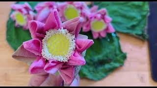 បទផ្កាឈូកយកទៅថ្វាយព្រះ Lotus song to offer to God