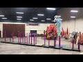 2021 high poles acrobatic competition online by kelantan shing ann association lion dance troupe