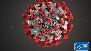 Coronavirus Webinar: February 6, 2020