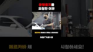 운행중지