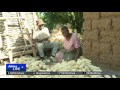 Zimbabwe Agriculture: Grain imports banned as farmers meet domestic demand