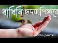 Badhini hridoy pinjore | বাধিনি হৃদয় পিন্জরে | Anuradha paudwal