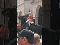 Kings guards horse freaks out over workmen  driling #horseguardsparade