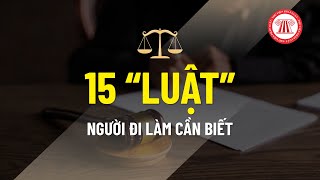 15 “luật” người đi làm cần biết | THƯ VIỆN PHÁP LUẬT