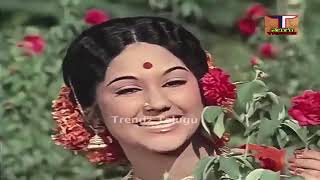 దేవుడు లాంటి మనిషి 1975