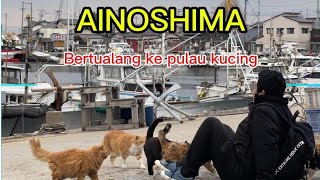 AINOSHIMA, Bertualang ke Pulau KUCING 🐈#japan #kucing #cat