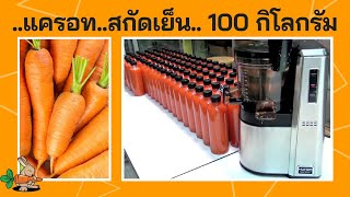 แครอทสกัดเย็น 106.8 กิโลกรัม ด้วยเครื่องแยกกากผลไม้ Hurom H22 สำหรับทำขาย