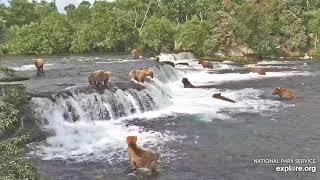 Super Epic Bearapalooza! 17 Brown Bears at Brooks Falls!!!  2 hours uninterrupte