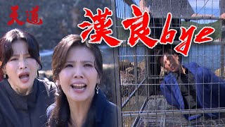 天道 EP137預告｜白漢良報應來了 朝遠爆怒把他浸豬籠 心敏心碎QQ