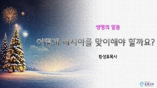 2024년12월25일 성탄축하예배