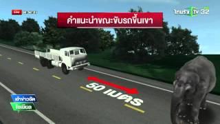 สาวโพสต์คลิประทึก เผชิญหน้าช้างป่าเขาใหญ่ | 11-01-59 | เช้าข่าวชัดโซเชียล | ThairathTV