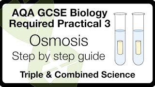 AQA GCSE Biology Practical 3: Osmosis Explained + Exam Tips