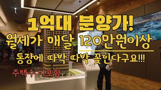 강원도 속초시 [하운드 속초 블루스테이] 생활형숙박시설분양 전매 가능 1666-1061