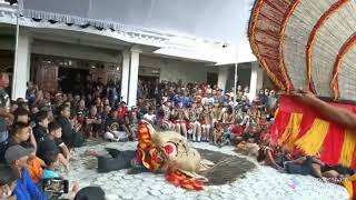 Gerak Lincah Seorang Pembarong Reog Ponorogo