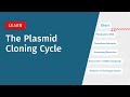 The Plasmid Cloning Cycle