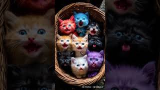 Nine colorful kittens