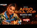 AFROSOUL MZANSI MIX 2026 VOL 47 | Dj Webaba