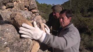 Restauració de barraques de pedra seca