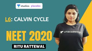 L6: Calvin Cycle | Photosynthesis Complete NCERT Review | NEET 2020