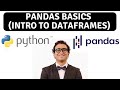 Python: Pandas Fundamentals (Intro to DataFrames)